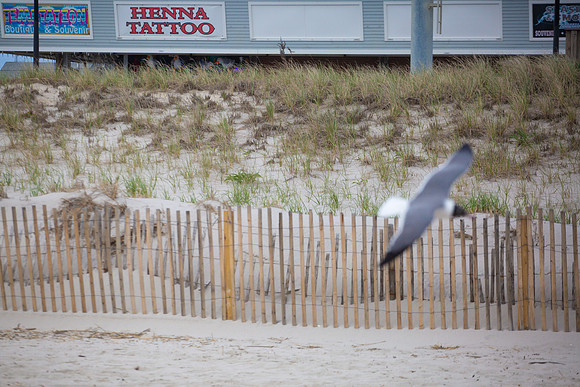 2024 Take Your Child to Work Day - Seaside Beach and BoardwalK