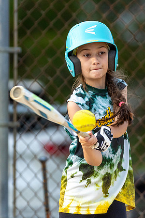 2025 STRA Lions Softball