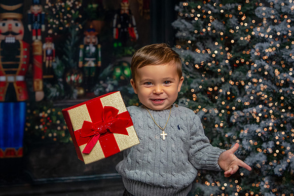 2022 Holiday Mini Session - Alleva