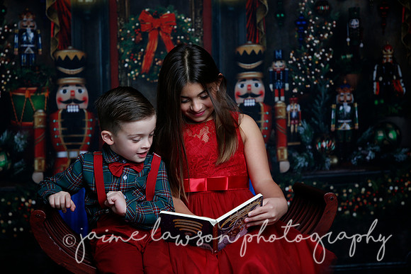 2022 Holiday Mini Session - Skordos