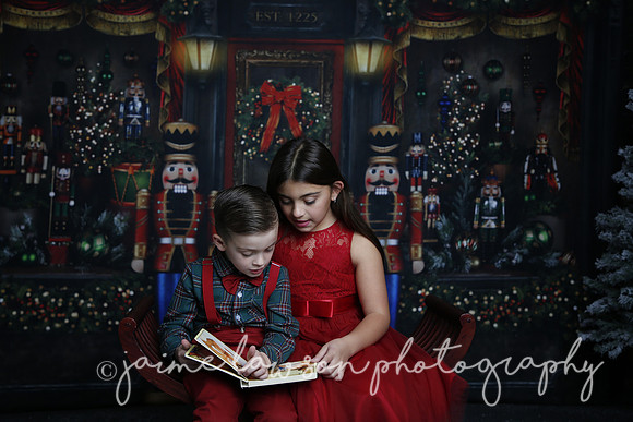 2022 Holiday Mini Session - Skordos
