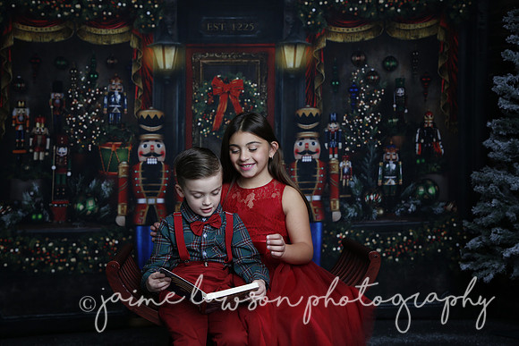 2022 Holiday Mini Session - Skordos