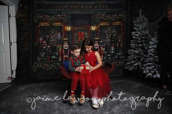 2022 Holiday Mini Session - Skordos