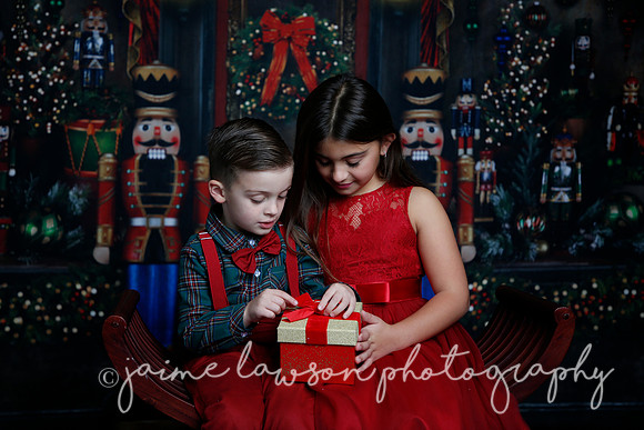 2022 Holiday Mini Session - Skordos