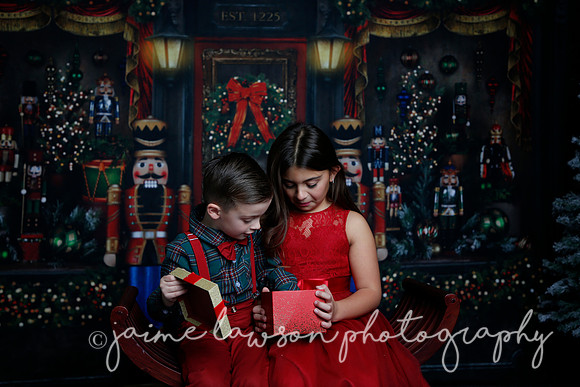 2022 Holiday Mini Session - Skordos