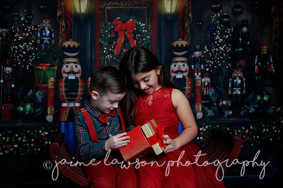 2022 Holiday Mini Session - Skordos