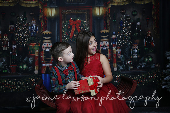2022 Holiday Mini Session - Skordos