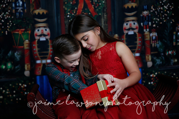 2022 Holiday Mini Session - Skordos