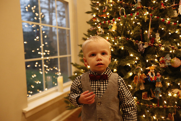 2022 Family Portraits - Adamo Holiday Mini