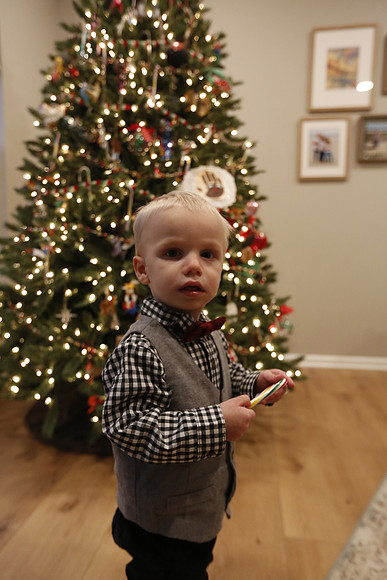 2022 Family Portraits - Adamo Holiday Mini