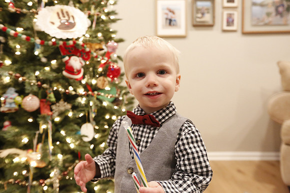 2022 Family Portraits - Adamo Holiday Mini