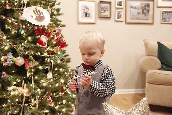 2022 Family Portraits - Adamo Holiday Mini