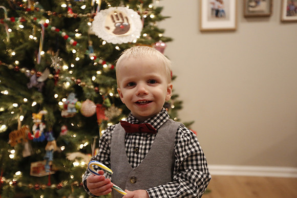 2022 Family Portraits - Adamo Holiday Mini
