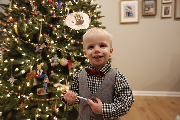2022 Family Portraits - Adamo Holiday Mini