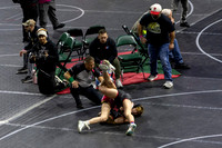 2026 USAW-NJ Scholastic State Championships