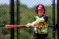 2026 STRA Softball - Southampton Lions