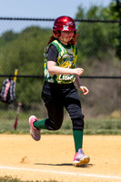 2026 STRA Softball - Southampton Lions
