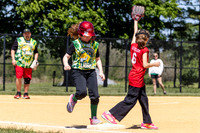 2026 STRA Softball - Southampton Lions