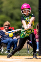 2026 STRA Softball - Southampton Lions