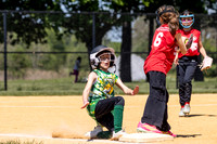 2026 STRA Softball - Southampton Lions