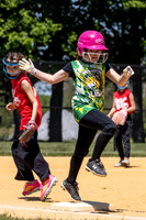 2026 STRA Softball - Southampton Lions