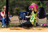 2026 STRA Softball - Southampton Lions