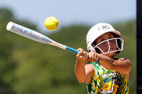2026 STRA Softball - Southampton Lions