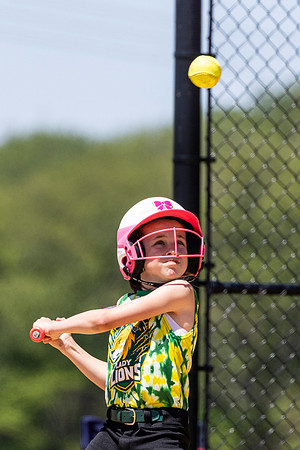 2026 STRA Softball - Southampton Lions