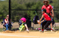 2026 STRA Softball - Southampton Lions