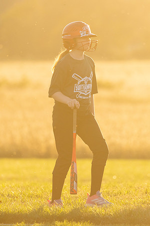 STRA - Lady Lions