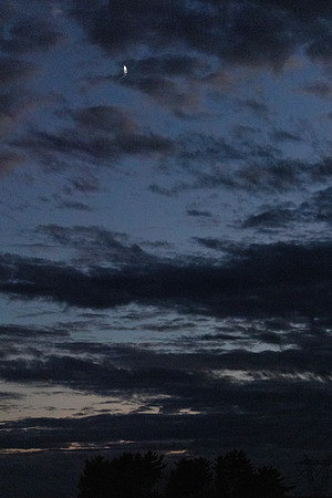 STRA - Lady Lions