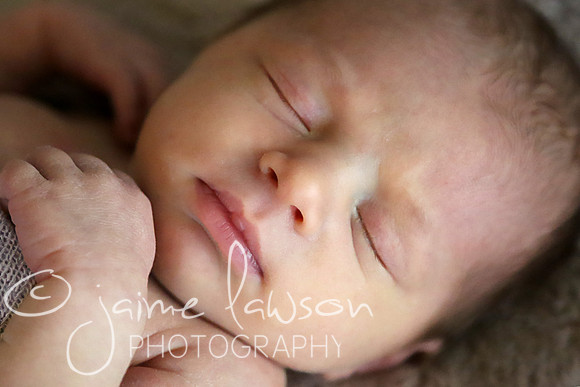 2016 Newborn Family Session - Stevie