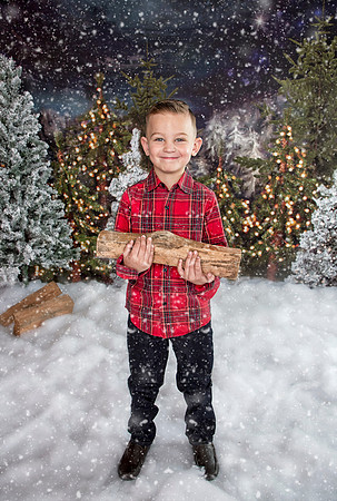 2019 Holiday Mini Session - Gajeski