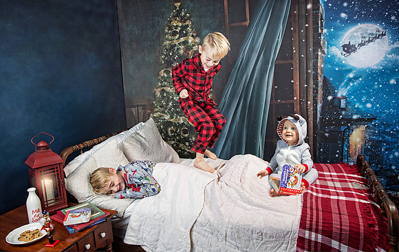 2018 Holiday Mini Session