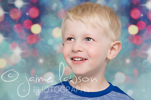 2017 Holiday Mini Session