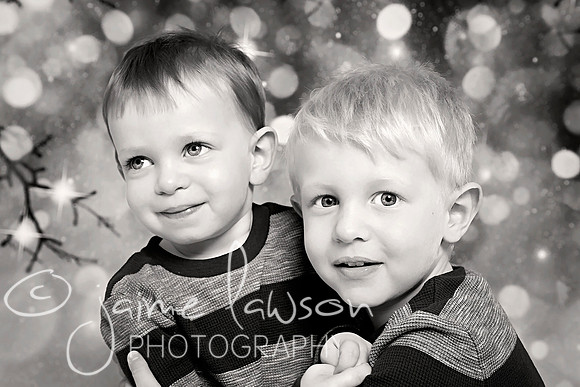 2017 Holiday Mini Session