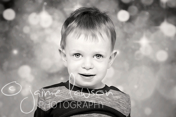 2017 Holiday Mini Session