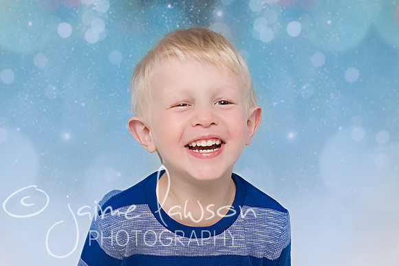 2017 Holiday Mini Session