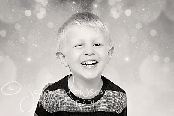 2017 Holiday Mini Session
