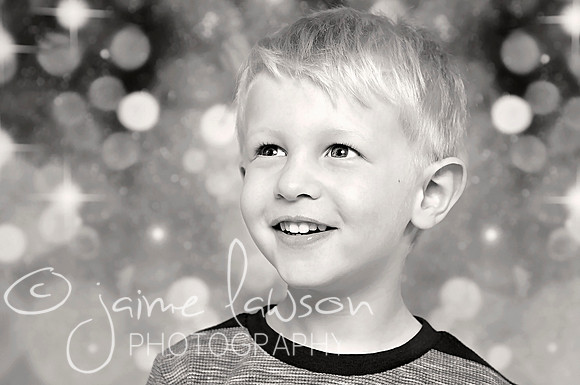 2017 Holiday Mini Session