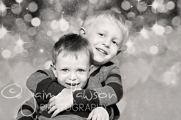 2017 Holiday Mini Session