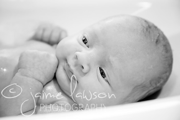 2018 Newborn Photo Session