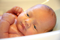 2018 Newborn Photo Session