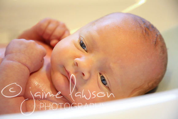 2018 Newborn Photo Session