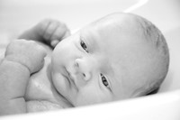 2018 Newborn Photo Session