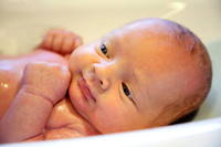 2018 Newborn Photo Session