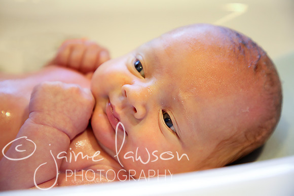 2018 Newborn Photo Session