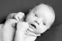 2018 Newborn Photo Session