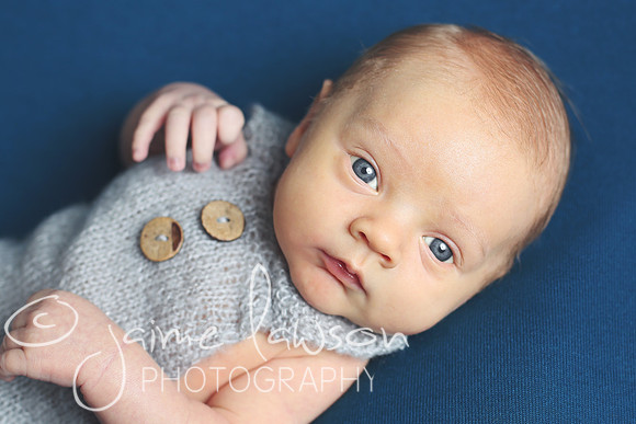 2018 Newborn Photo Session