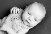2018 Newborn Photo Session